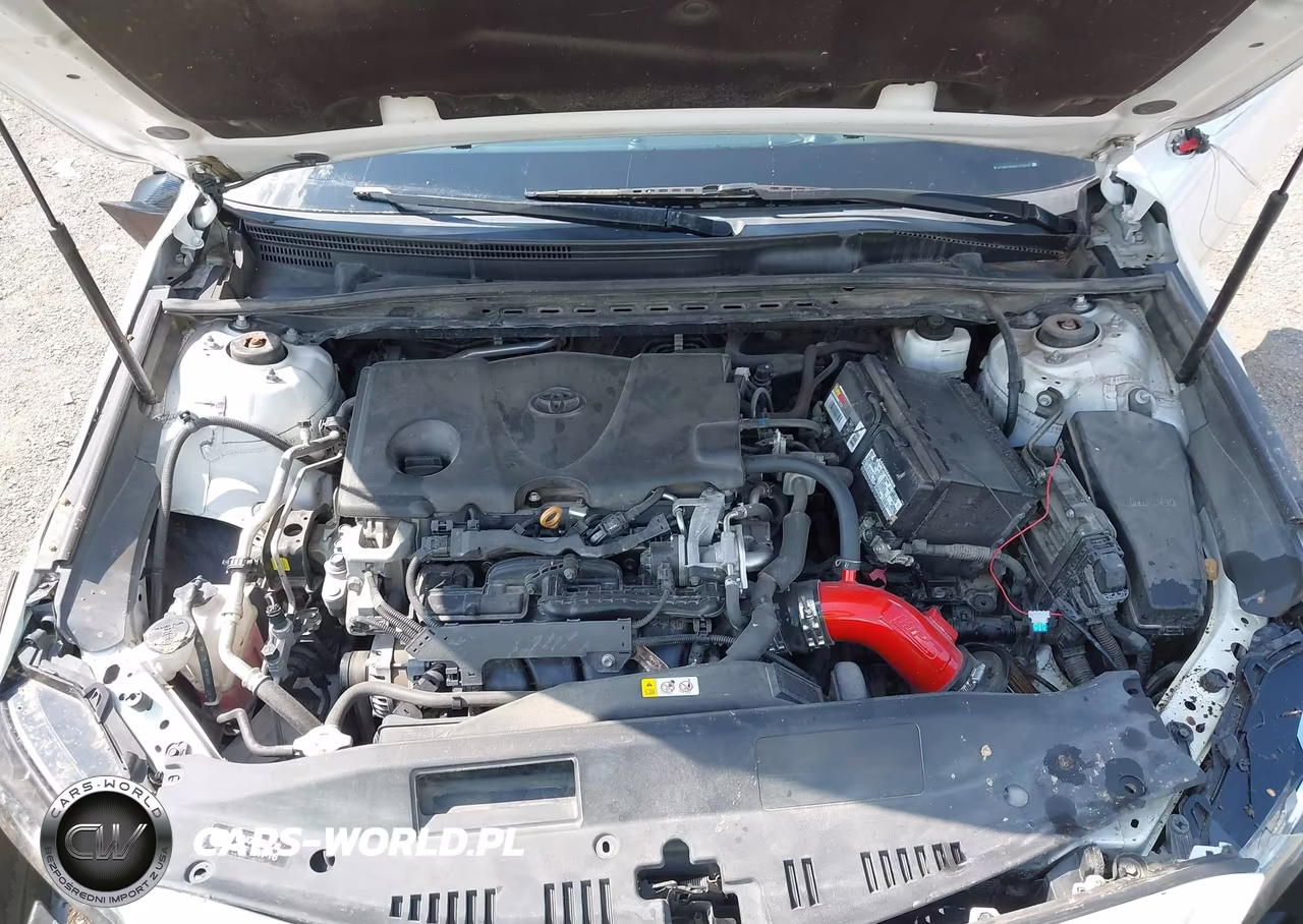 2019 Toyota Camry Xse VIN:4T1B61HK5KU178240 - 10