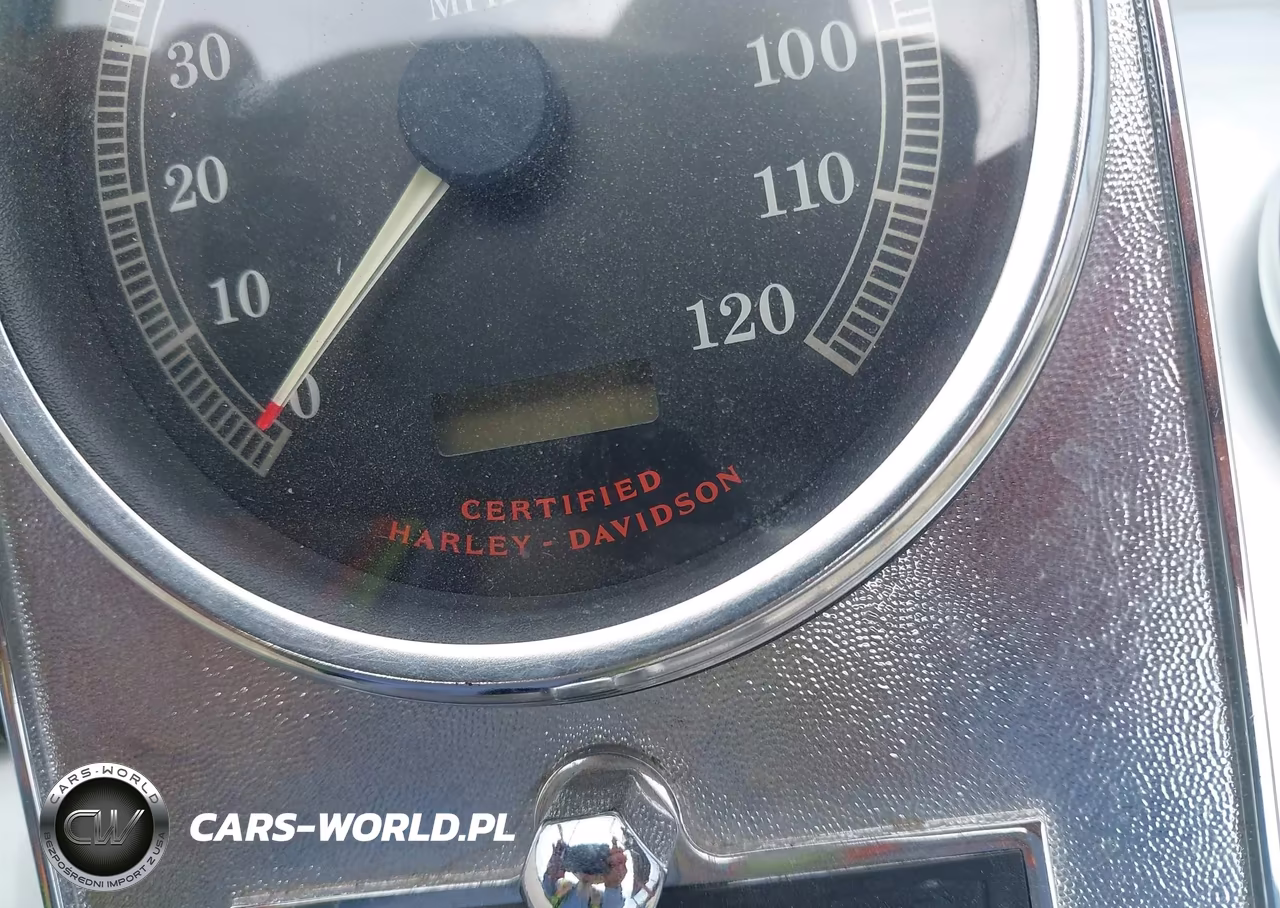 2003 Harley-Davidson Flhrci Anniversary VIN:1HD1FRW403Y723790 - 7