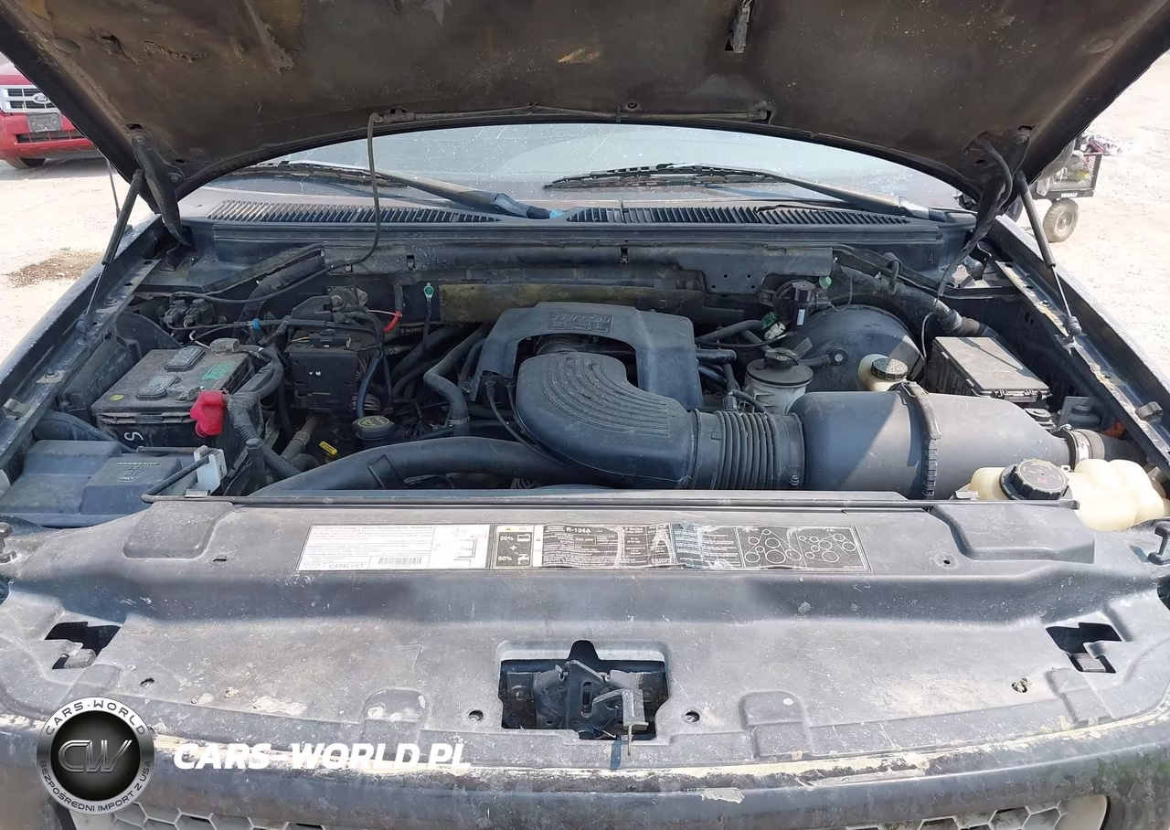 2003 Ford F-150 Lariat-Xl-Xlt VIN:2FTRX18L43CA33698 - 10
