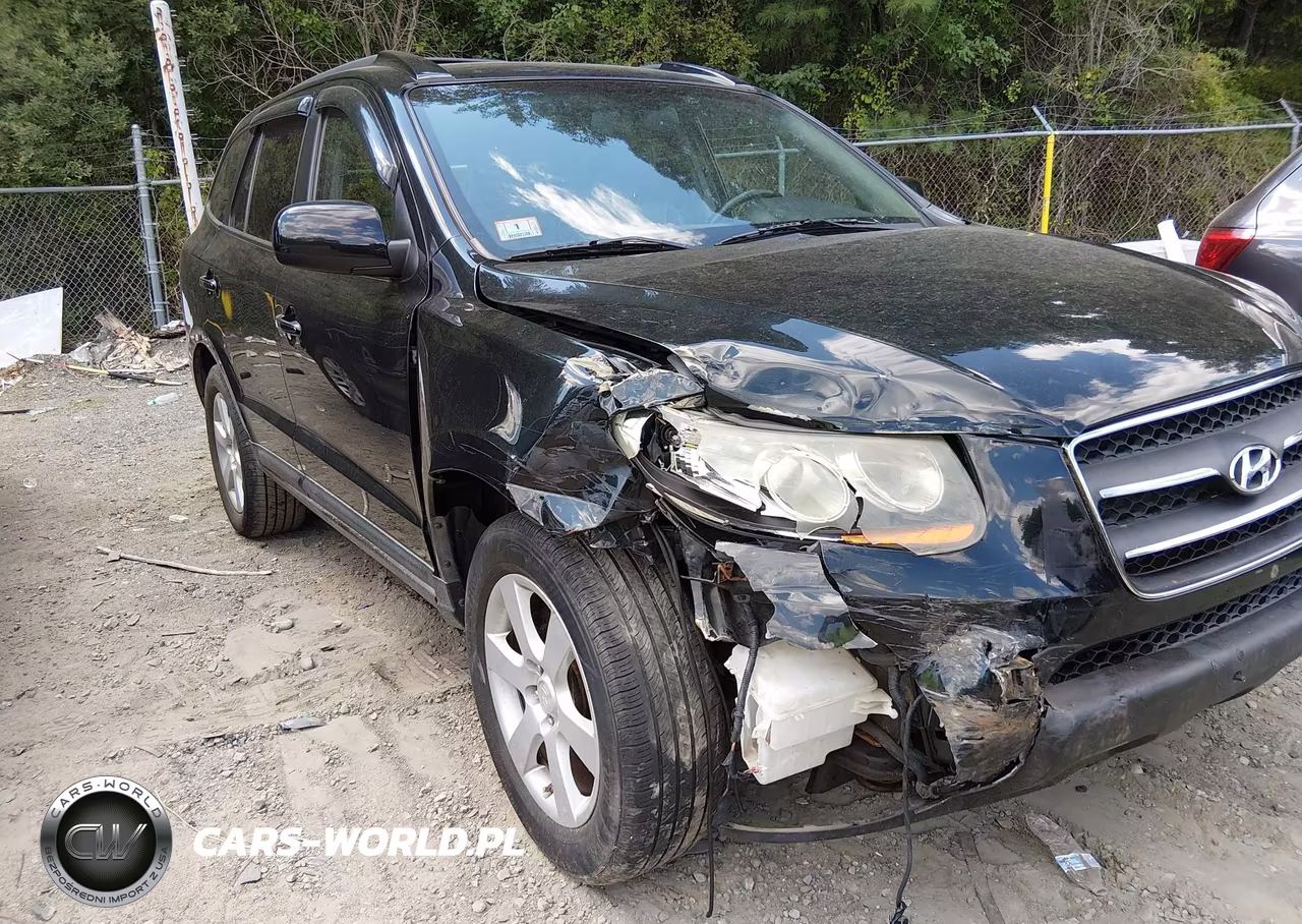 2009 Hyundai Santa Fe Limited VIN:5NMSH73E69H287701 - 6