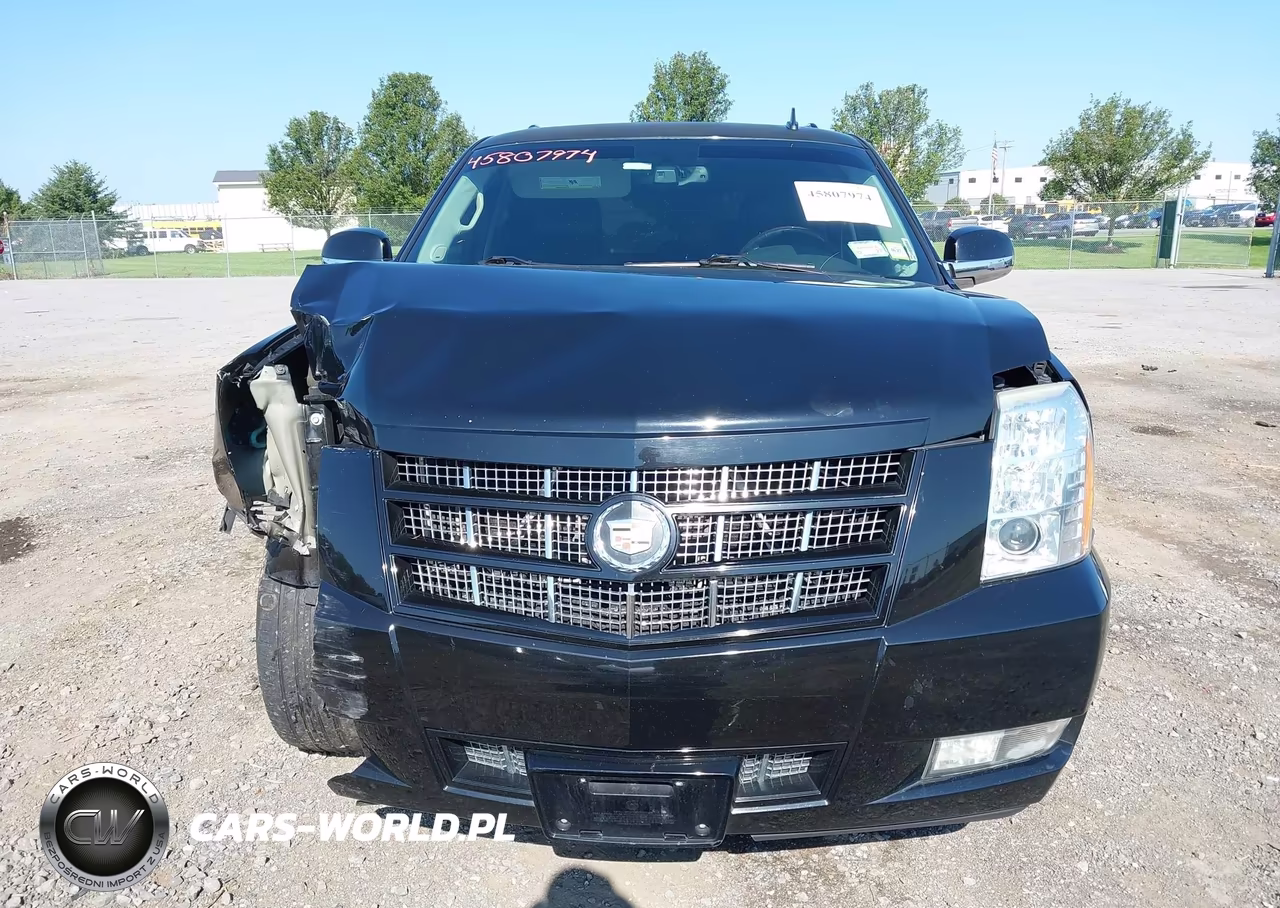 2013 Cadillac Escalade Premium VIN:1GYS4CEF9DR376381 - 12