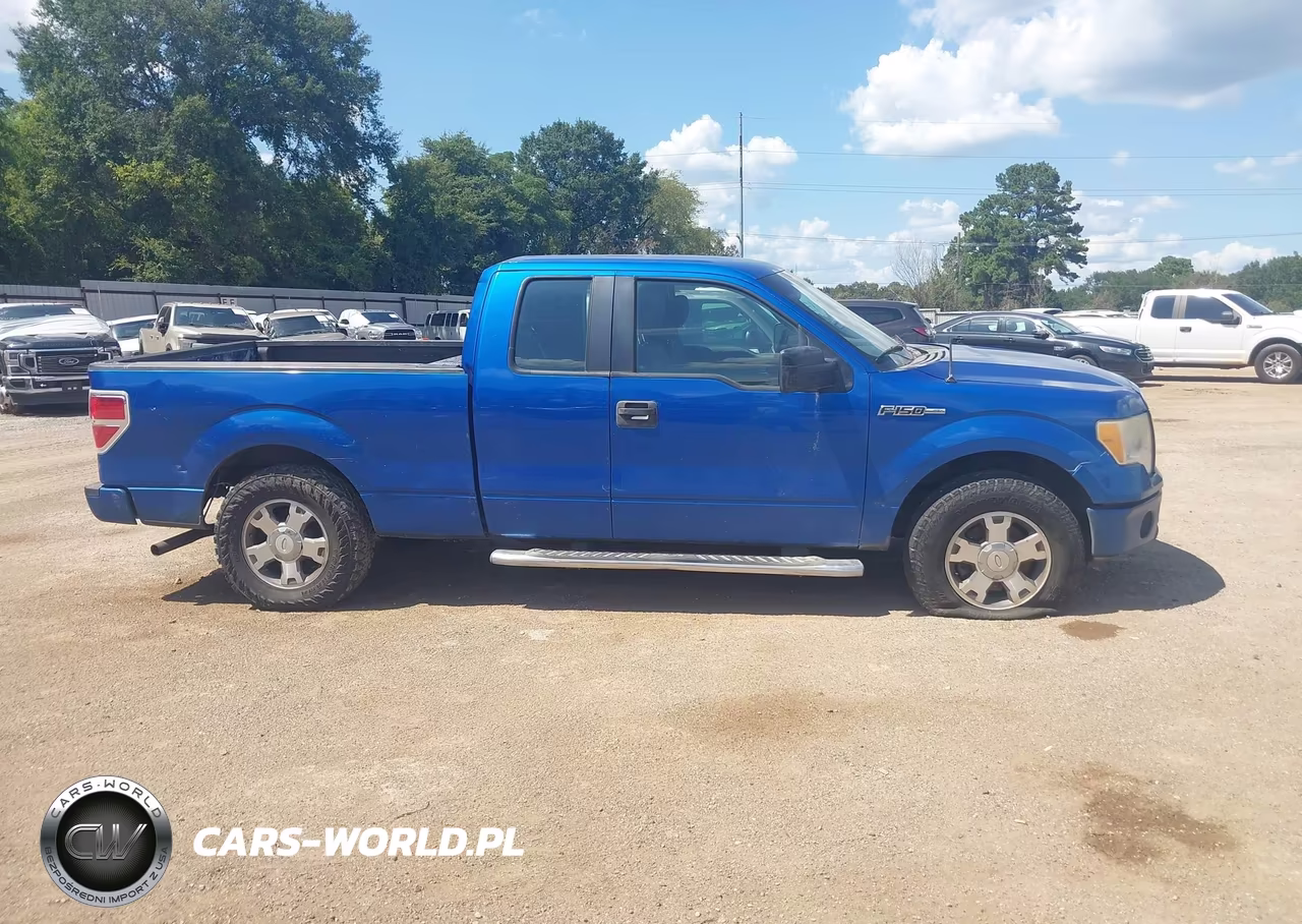2010 Ford F-150 Stx-Xl VIN:1FTEX1CW4AFD76142 - 14