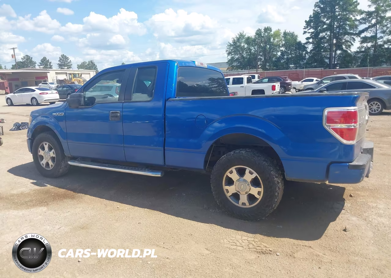 2010 Ford F-150 Stx-Xl VIN:1FTEX1CW4AFD76142 - 15