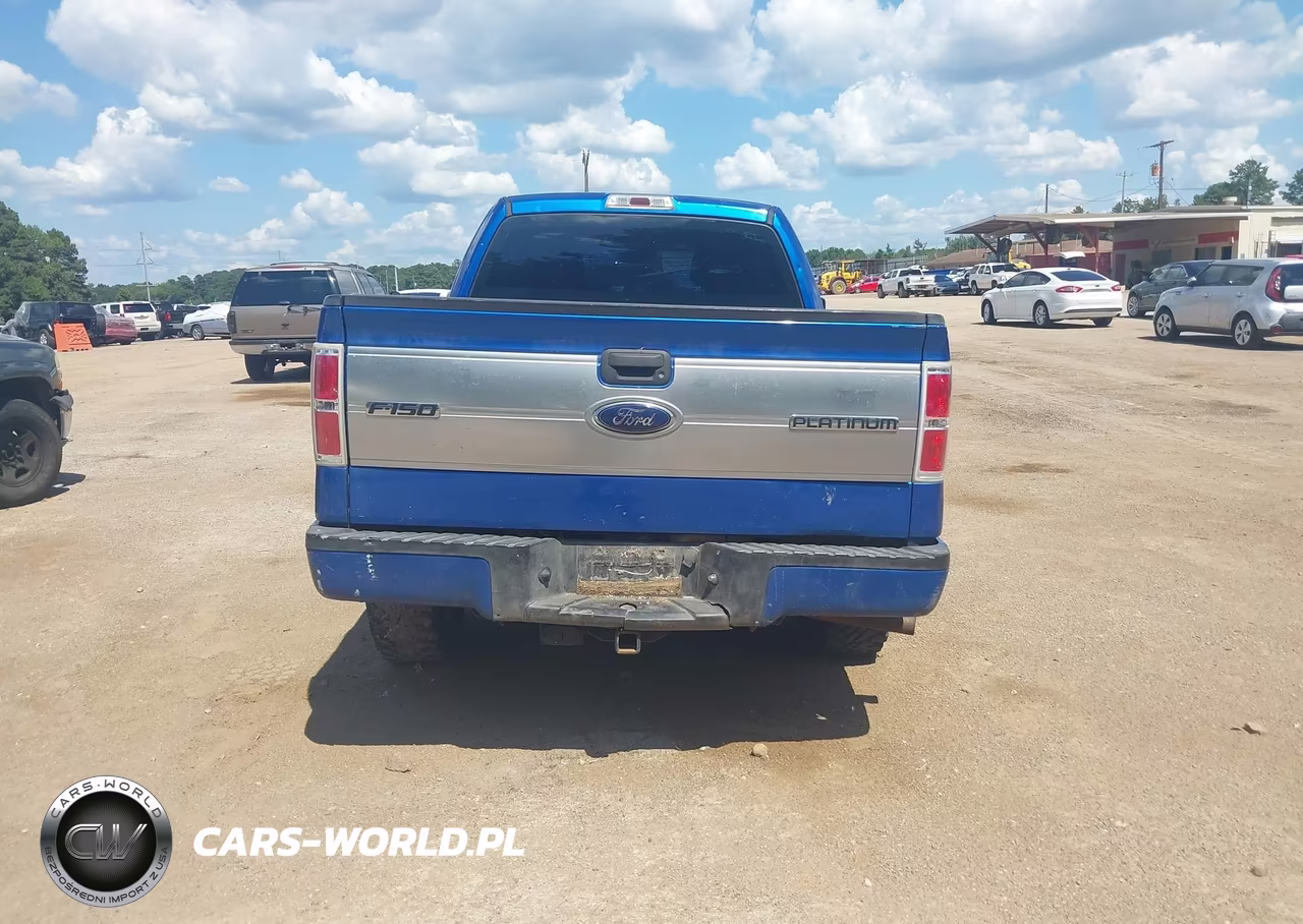 2010 Ford F-150 Stx-Xl VIN:1FTEX1CW4AFD76142 - 17
