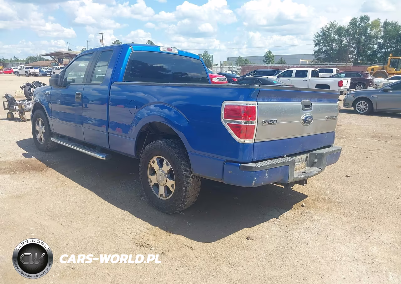 2010 Ford F-150 Stx-Xl VIN:1FTEX1CW4AFD76142 - 3