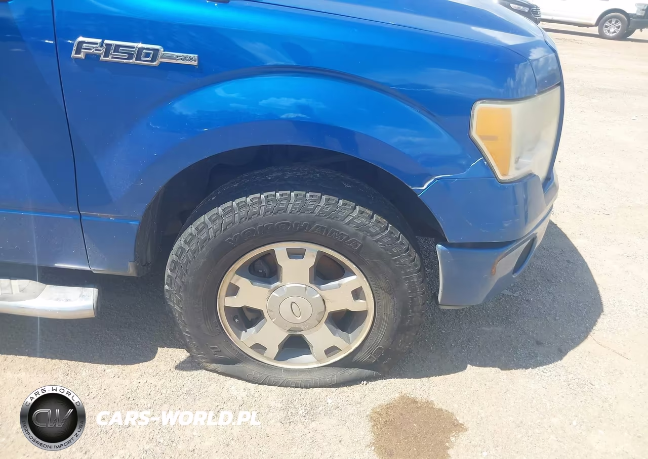 2010 Ford F-150 Stx-Xl VIN:1FTEX1CW4AFD76142 - 6