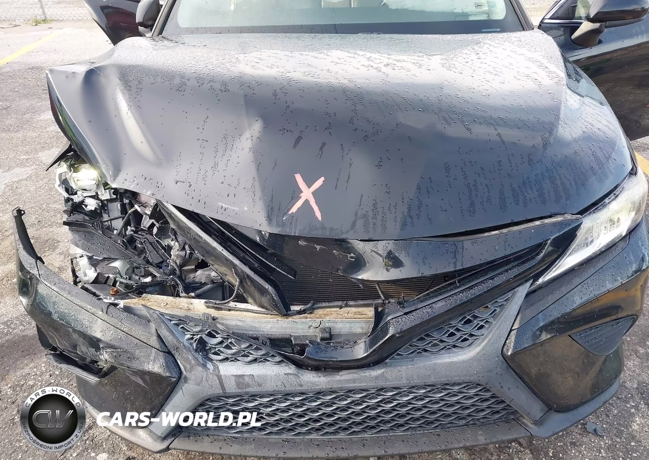 2019 Toyota Camry Se VIN:4T1B11HK8KU183821 - 10