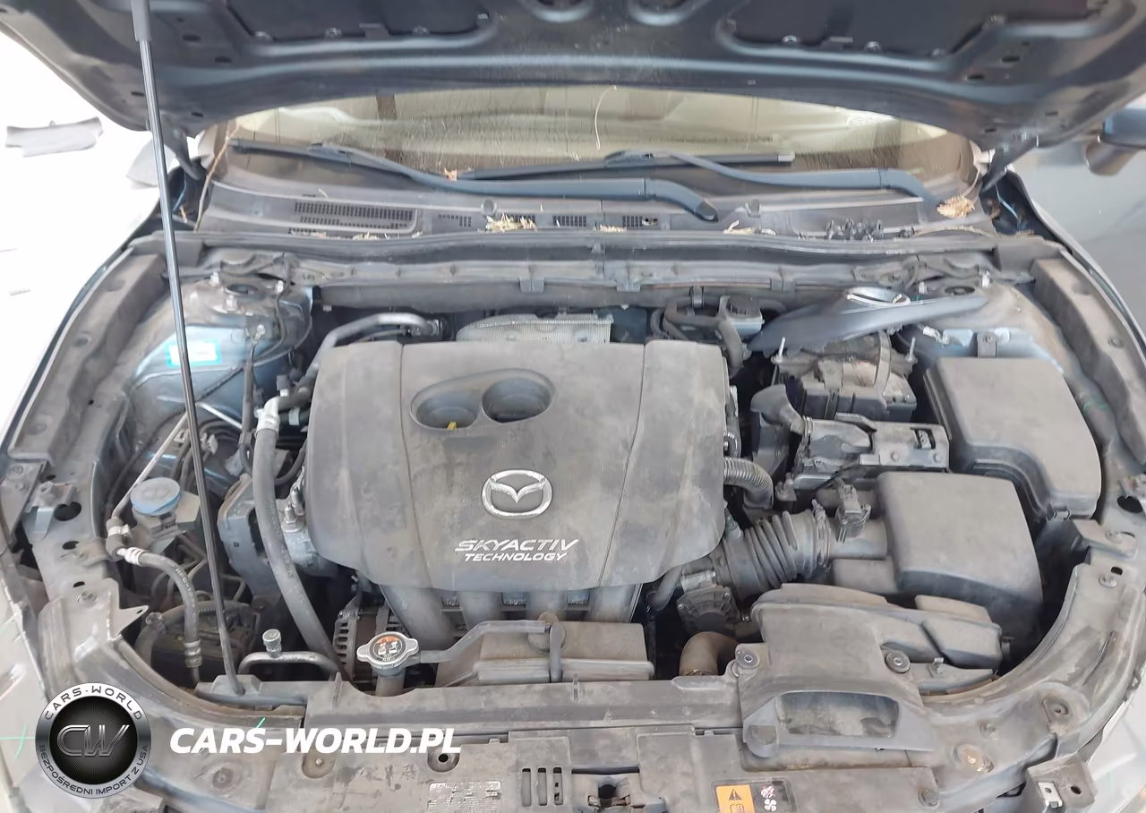 2014 Mazda Mazda3 I Sport VIN:JM1BM1U73E1166993 - 10