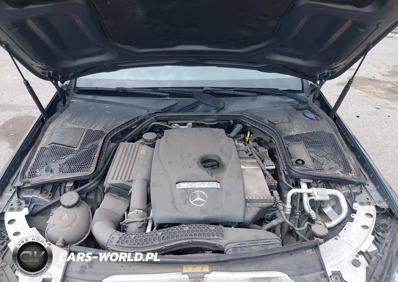 2017 Mercedes-Benz C 300 4Matic VIN:55SWF4KB1HU188330 - 10