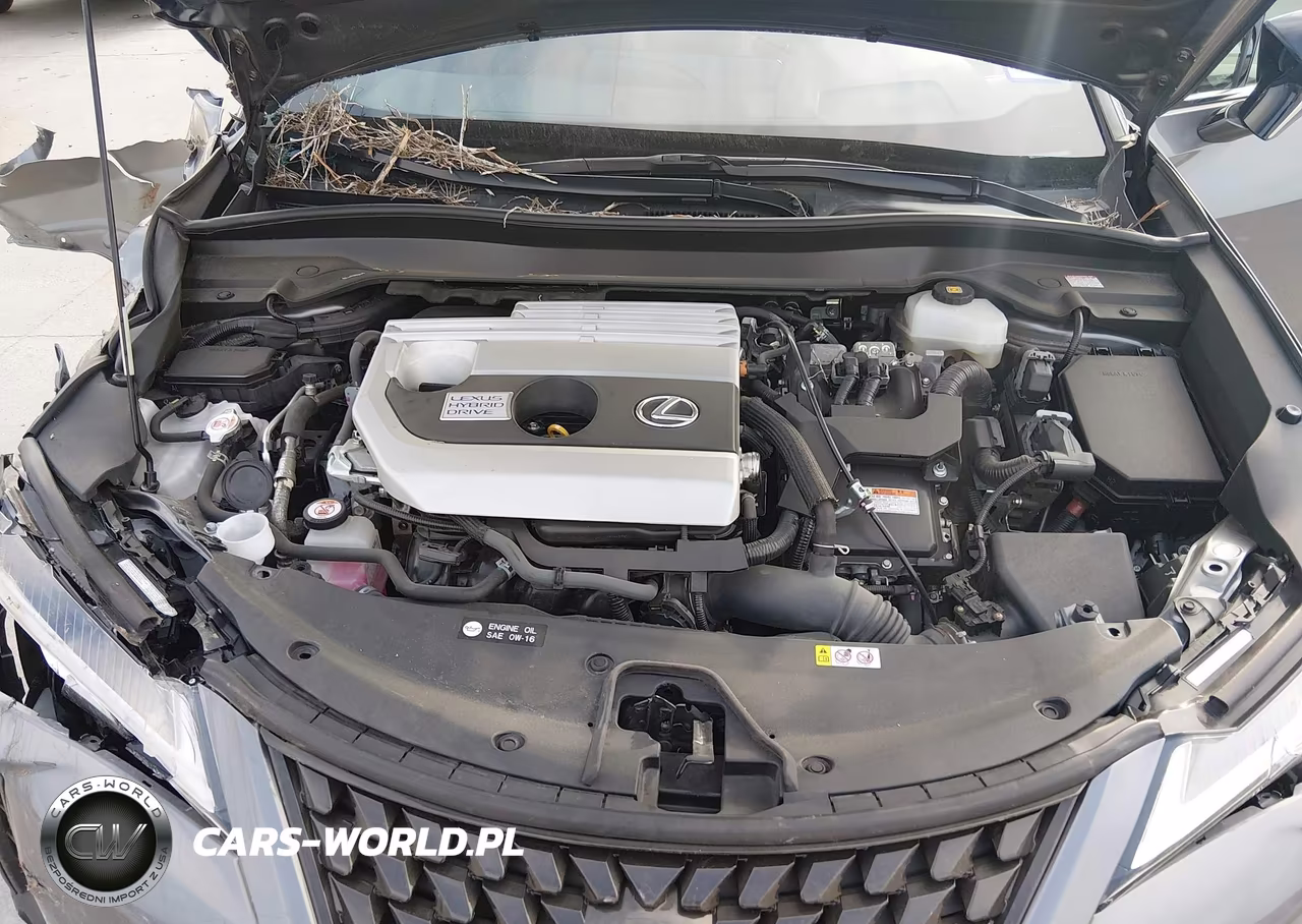 2020 Lexus Ux 250H VIN:JTHP9JBH5L2026579 - 10