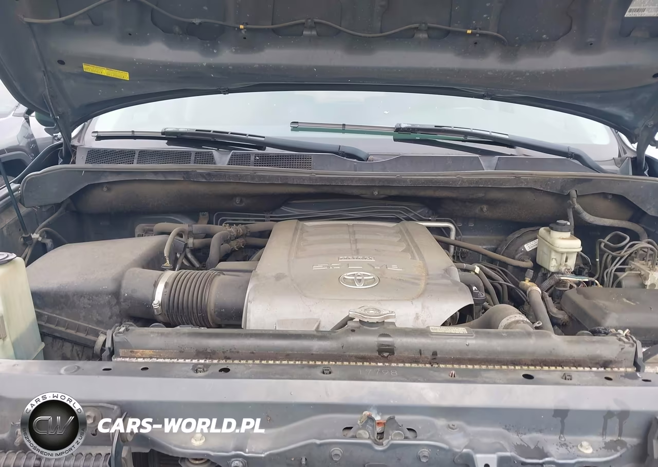 2008 Toyota Sequoia Platinum 5.7L V8 VIN:5TDBY67A58S021843 - 10