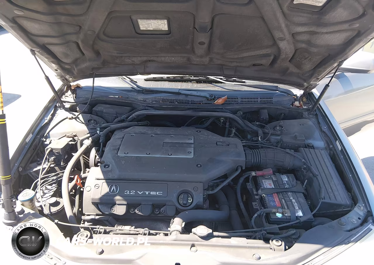 2003 Acura Tl 3.2 VIN:19UUA56793A091690 - 10