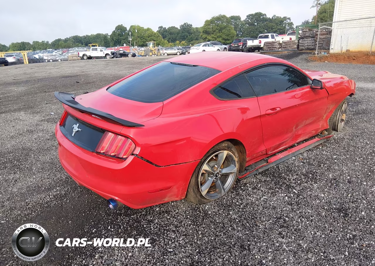 2015 Ford Mustang V6 VIN:1FA6P8AMXF5428567 - 4