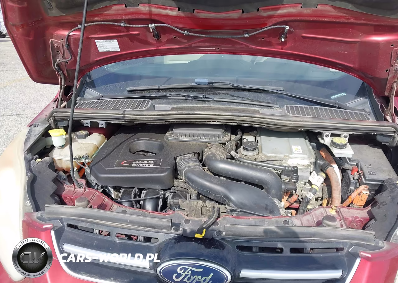 2016 Ford C-Max Energi Sel VIN:1FADP5CUXGL106124 - 10