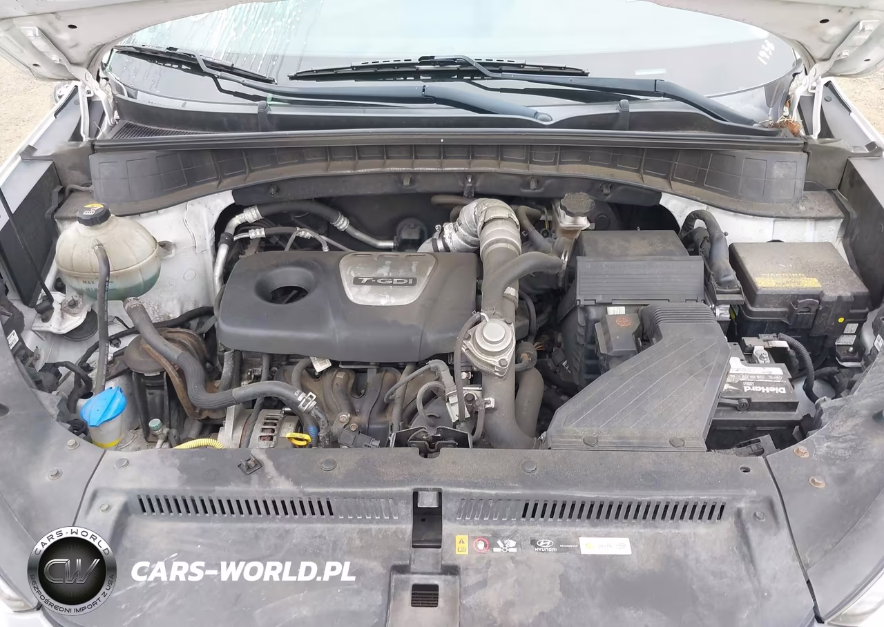 2017 Hyundai Tucson Eco VIN:KM8J3CA2XHU507999 - 10