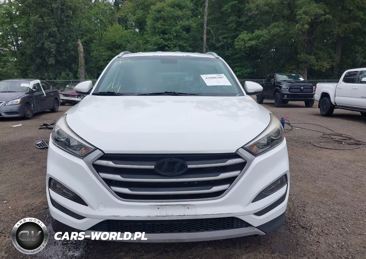 2017 Hyundai Tucson Eco VIN:KM8J3CA2XHU507999 - 12