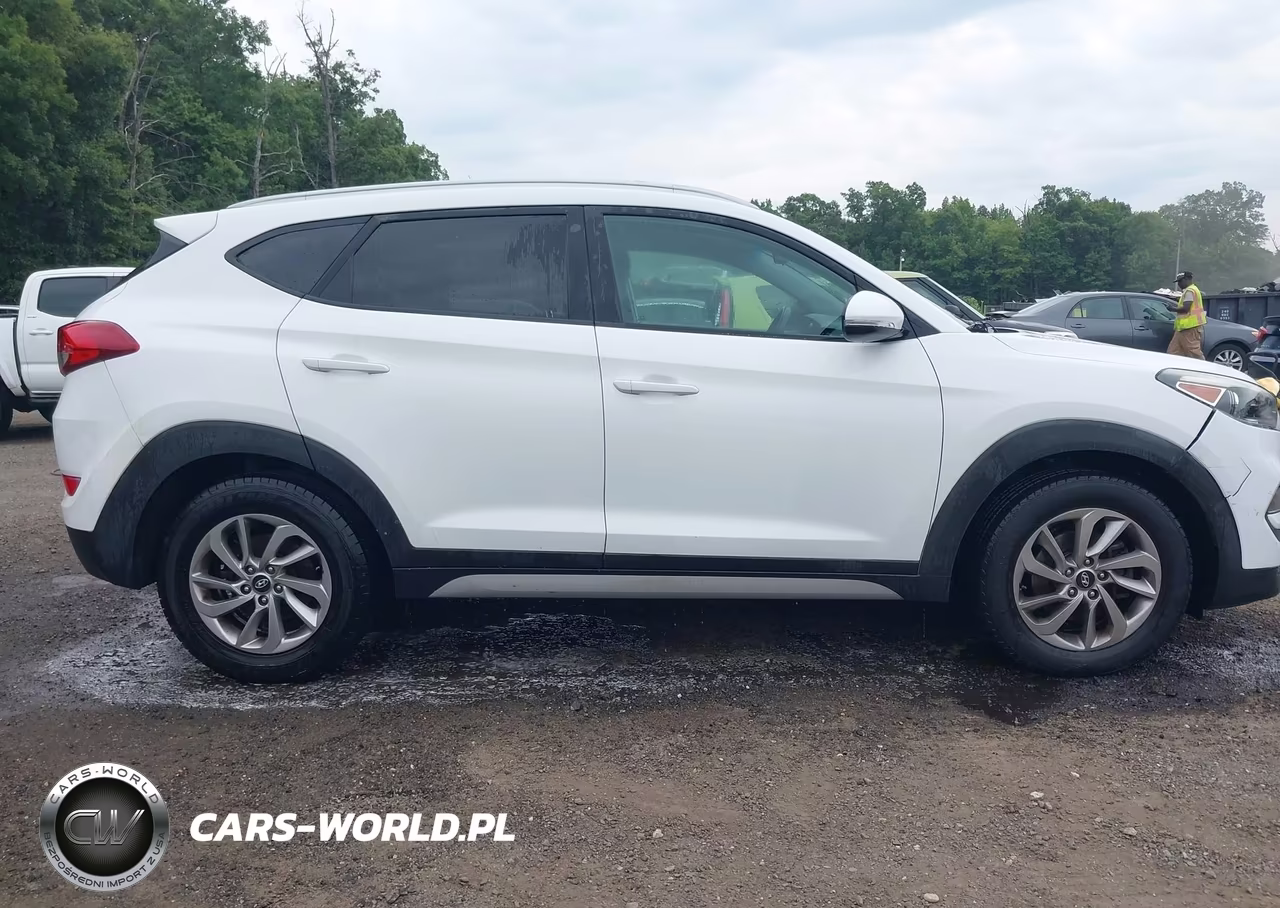 2017 Hyundai Tucson Eco VIN:KM8J3CA2XHU507999 - 13