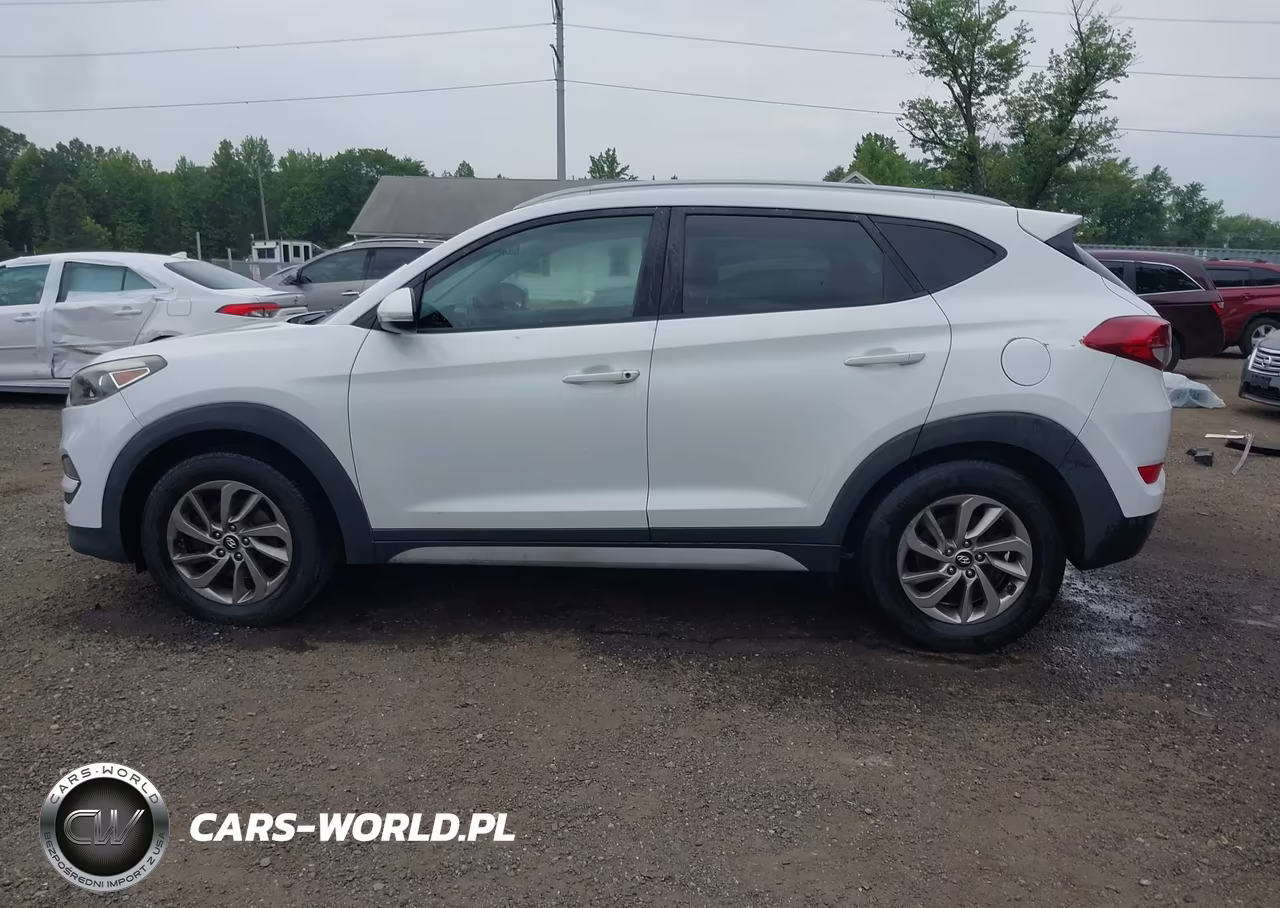 2017 Hyundai Tucson Eco VIN:KM8J3CA2XHU507999 - 14