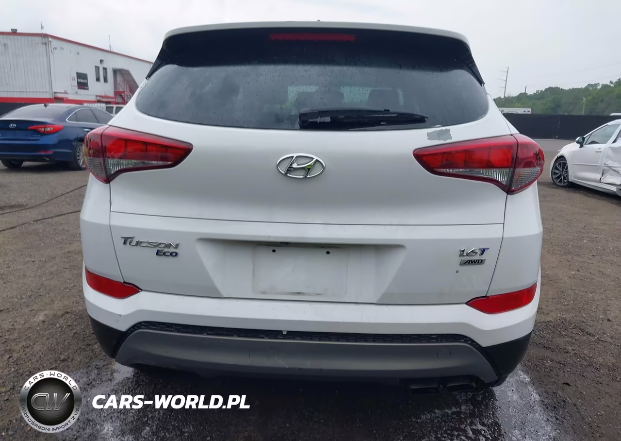 2017 Hyundai Tucson Eco VIN:KM8J3CA2XHU507999 - 16
