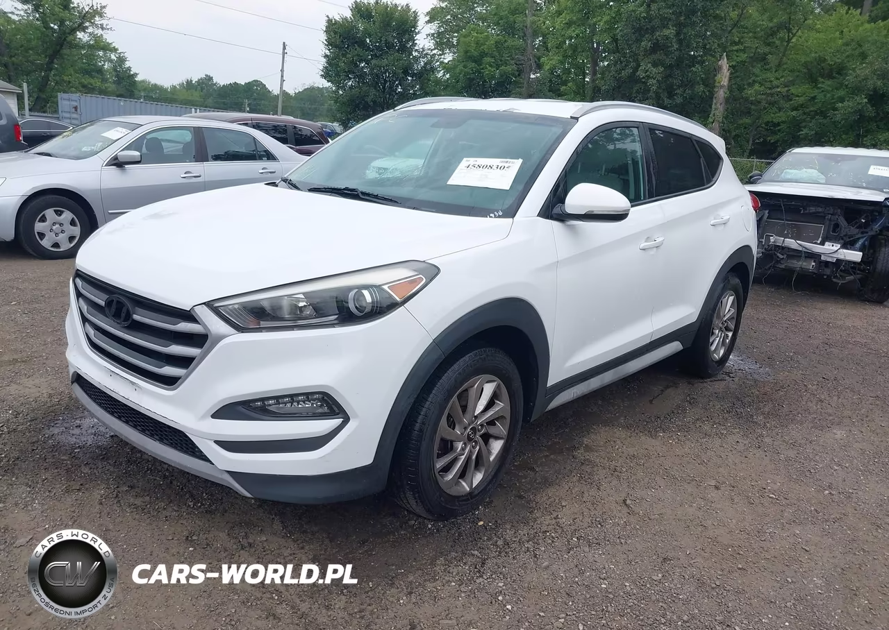 2017 Hyundai Tucson Eco VIN:KM8J3CA2XHU507999 - 2