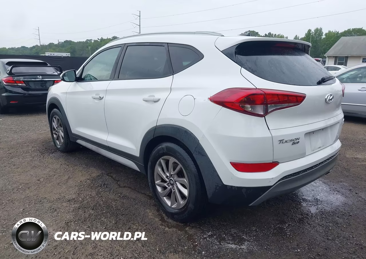 2017 Hyundai Tucson Eco VIN:KM8J3CA2XHU507999 - 3