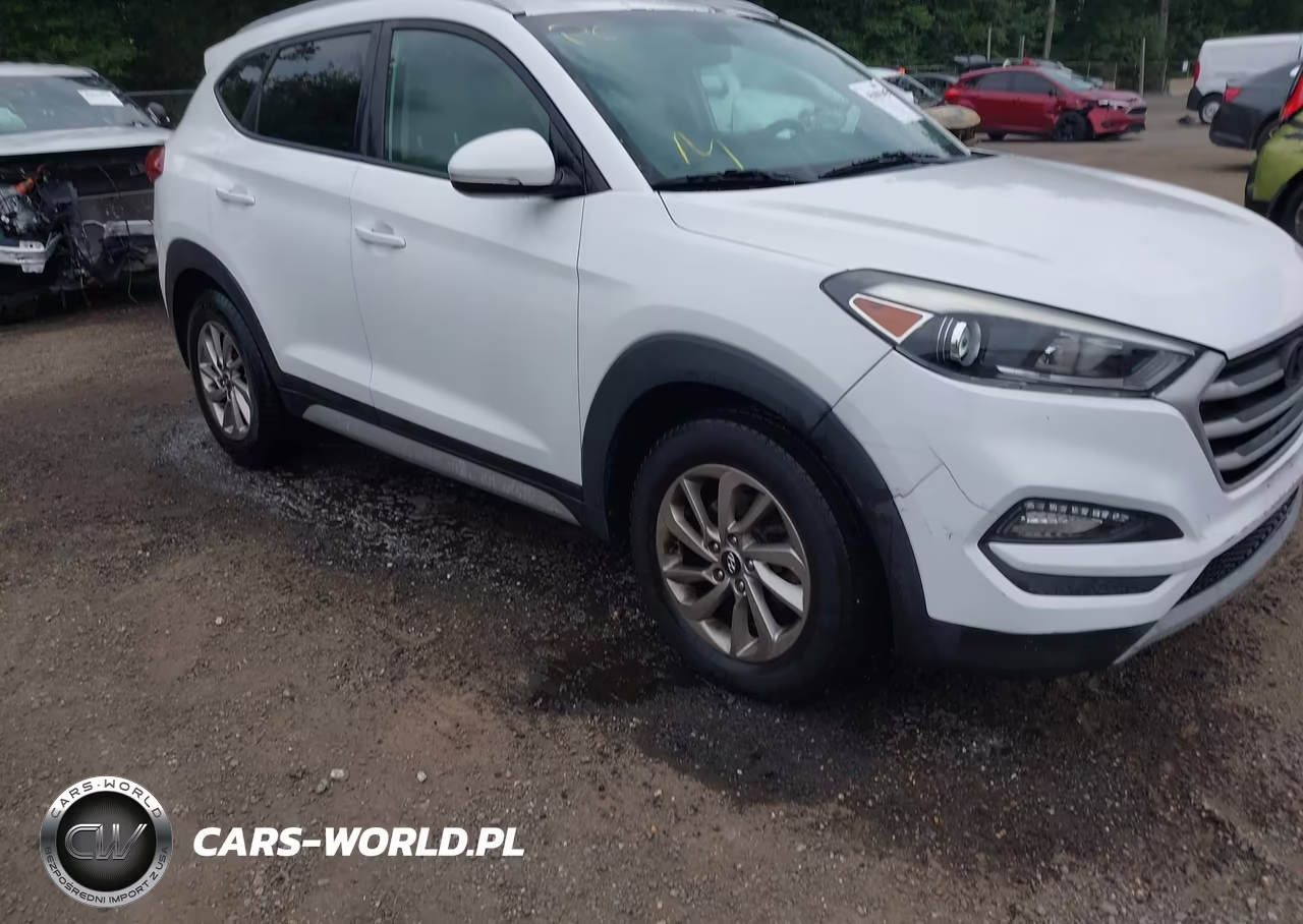 2017 Hyundai Tucson Eco VIN:KM8J3CA2XHU507999 - 6