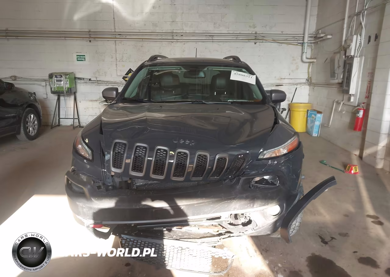 2016 Jeep Cherokee Trailhawk VIN:1C4PJMBS2GW223195 - 12
