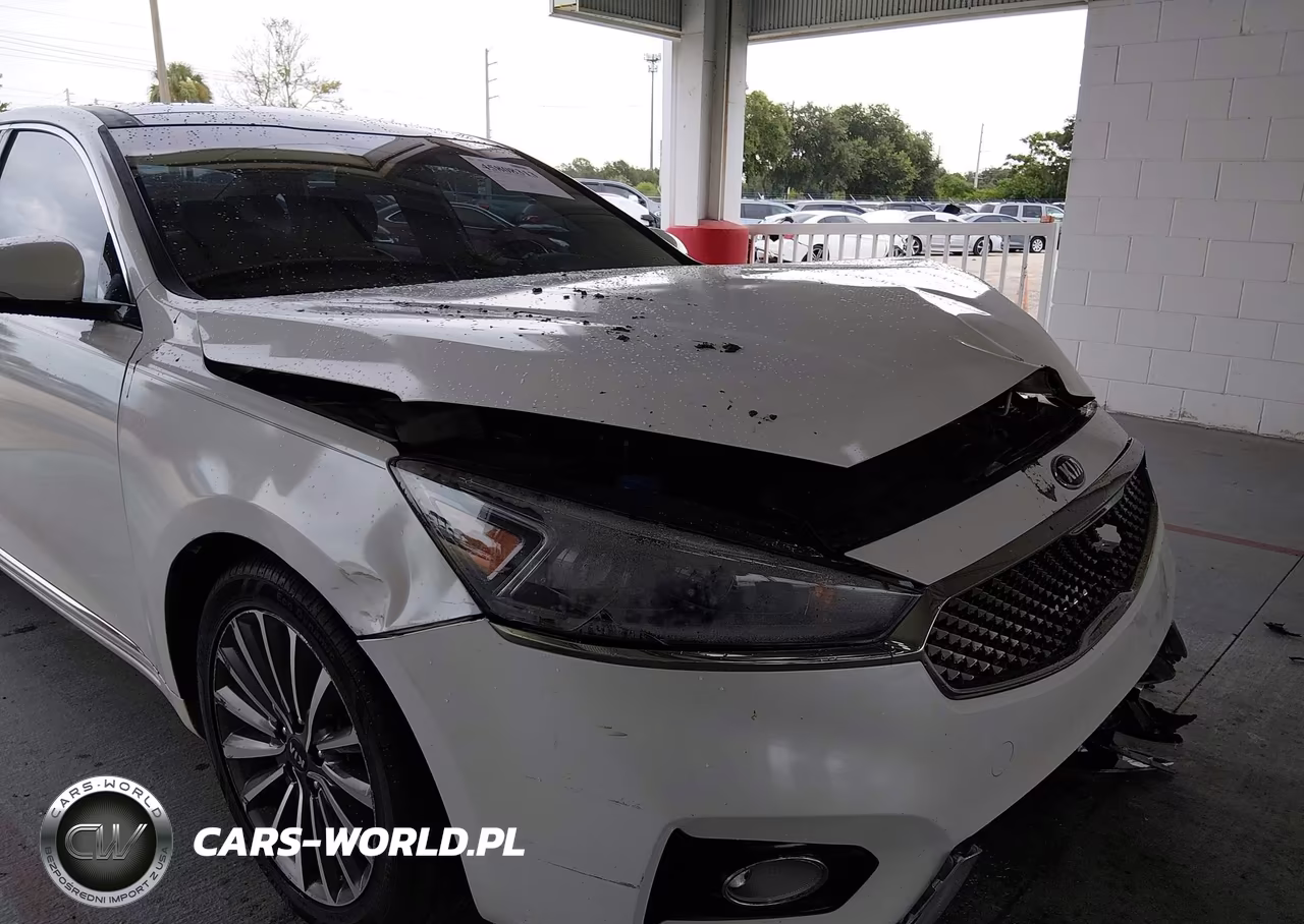 2017 Kia Cadenza Premium VIN:KNALC4J13H5084815 - 19