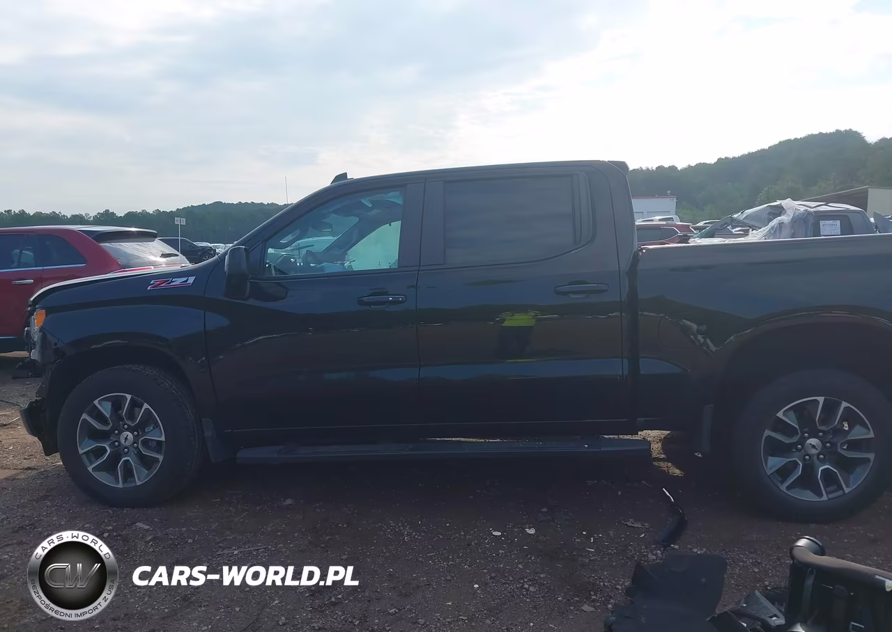 2024 Chevrolet Silverado 1500 4Wd Short Bed Rst VIN:2GCUDEEDXR1183603 - 14
