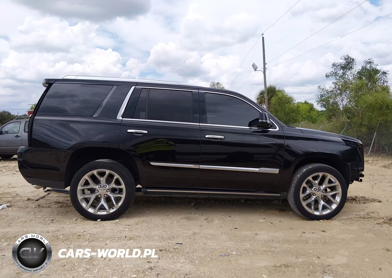 2016 Cadillac Escalade Premium Collection VIN:1GYS3CKJ2GR453396 - 14