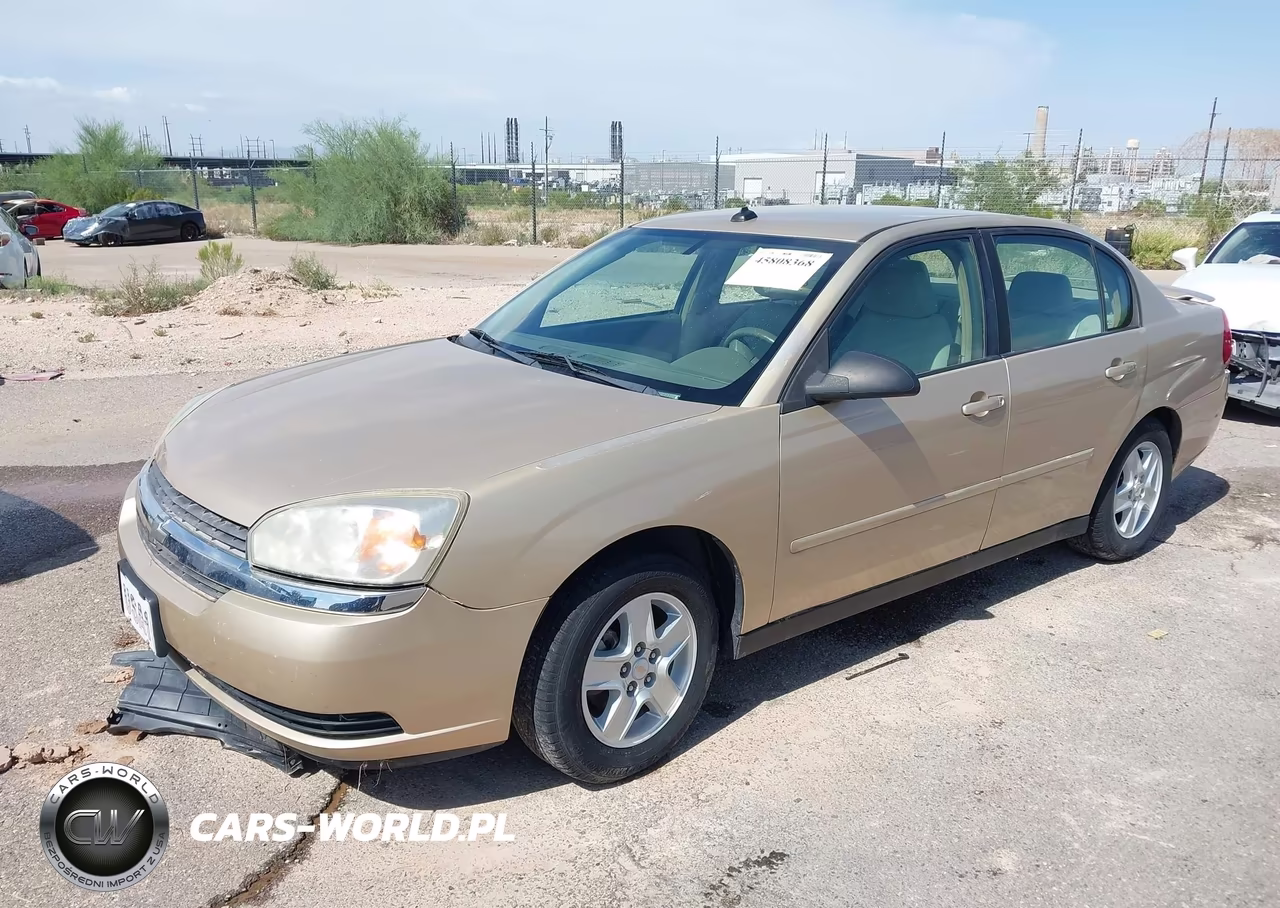 2005 Chevrolet Malibu VIN:1G1ZS52F55F236124 - 2