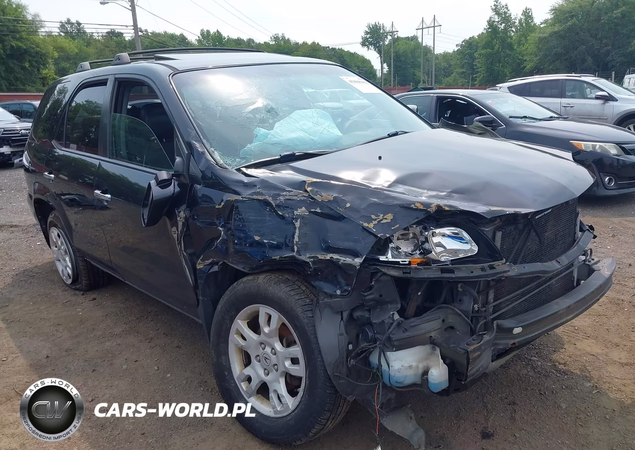 2006 Acura Mdx VIN:2HNYD186X6H524325 - 17