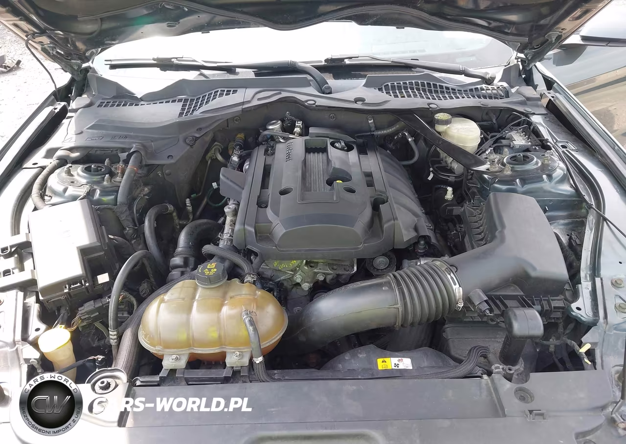 2015 Ford Mustang Ecoboost VIN:1FA6P8TH3F5379969 - 10