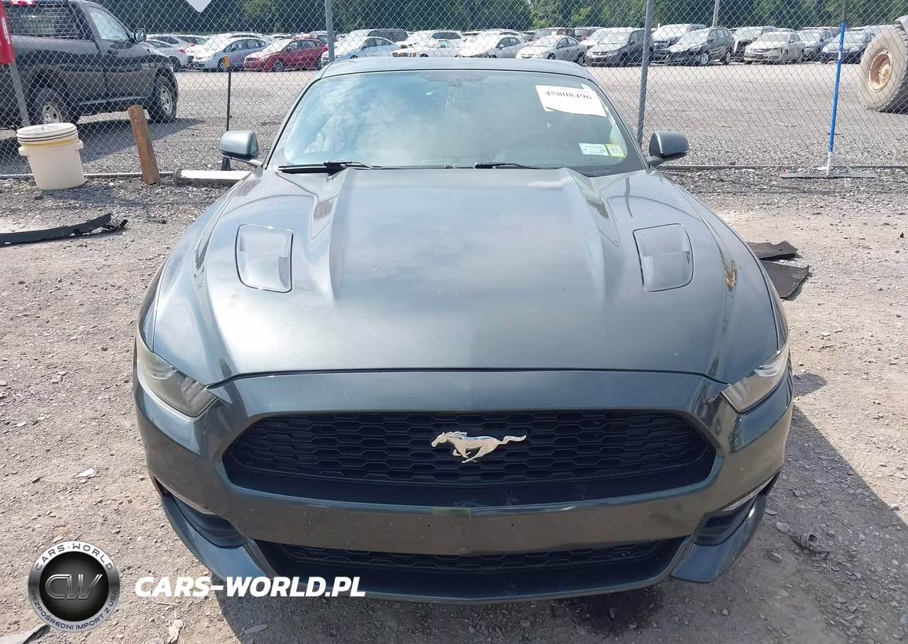 2015 Ford Mustang Ecoboost VIN:1FA6P8TH3F5379969 - 12