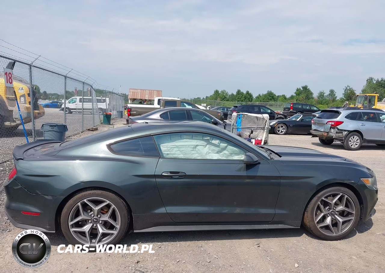 2015 Ford Mustang Ecoboost VIN:1FA6P8TH3F5379969 - 13