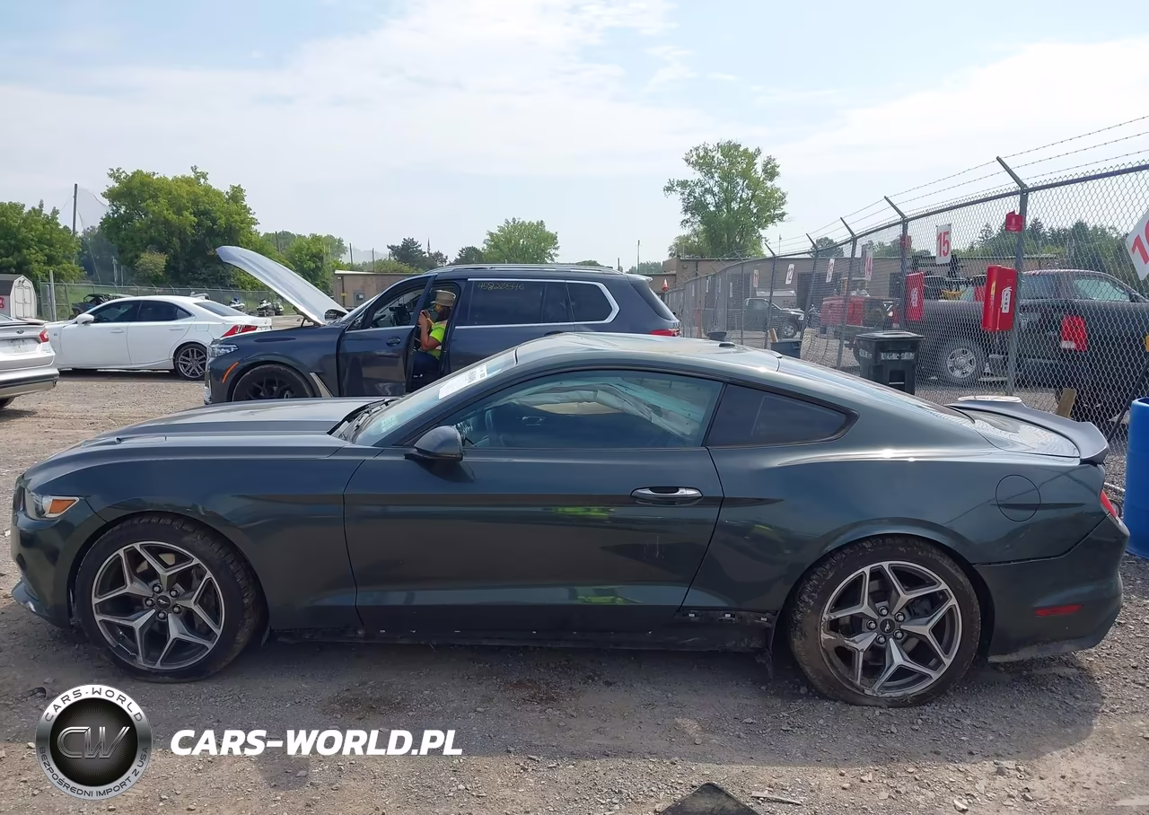 2015 Ford Mustang Ecoboost VIN:1FA6P8TH3F5379969 - 14