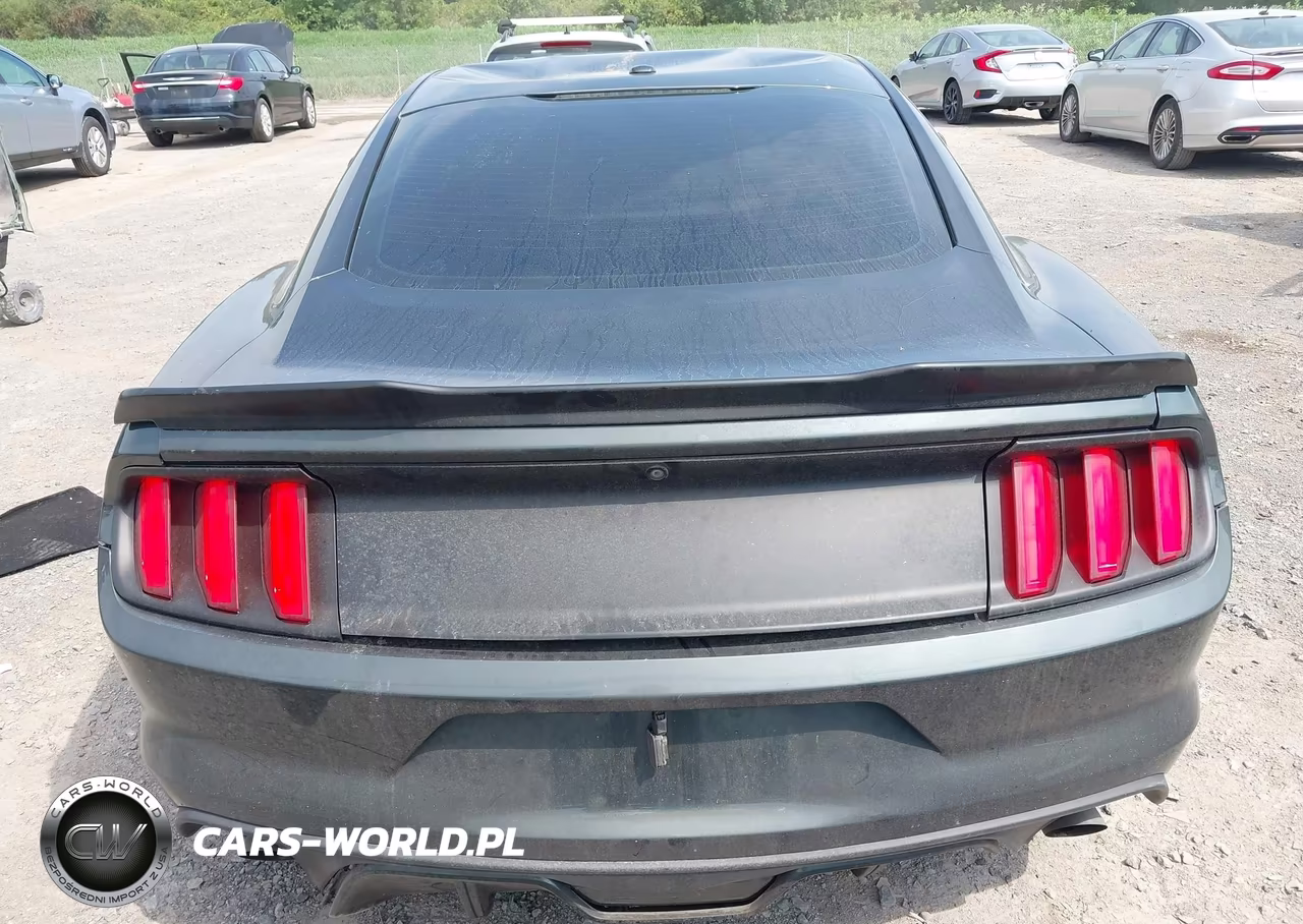 2015 Ford Mustang Ecoboost VIN:1FA6P8TH3F5379969 - 16