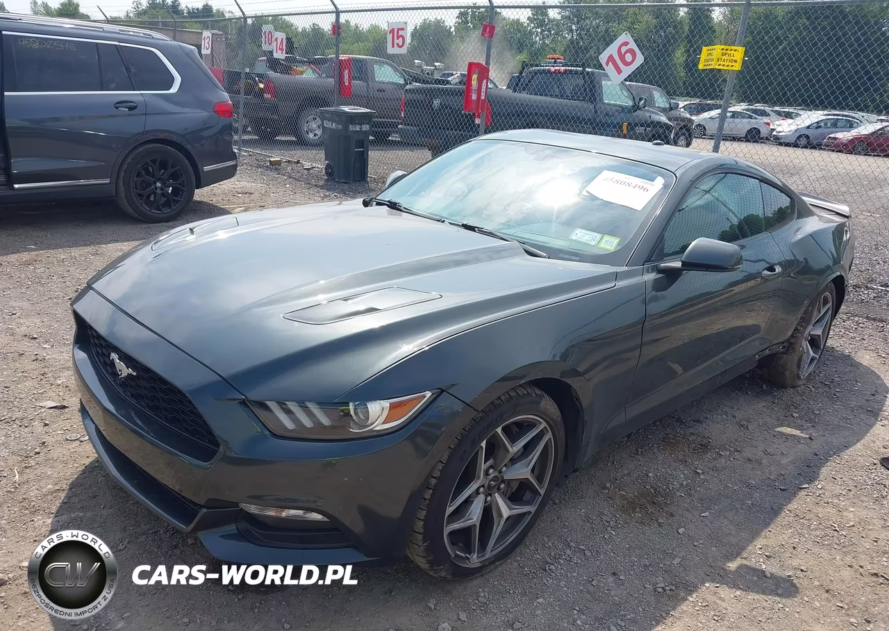 2015 Ford Mustang Ecoboost VIN:1FA6P8TH3F5379969 - 2