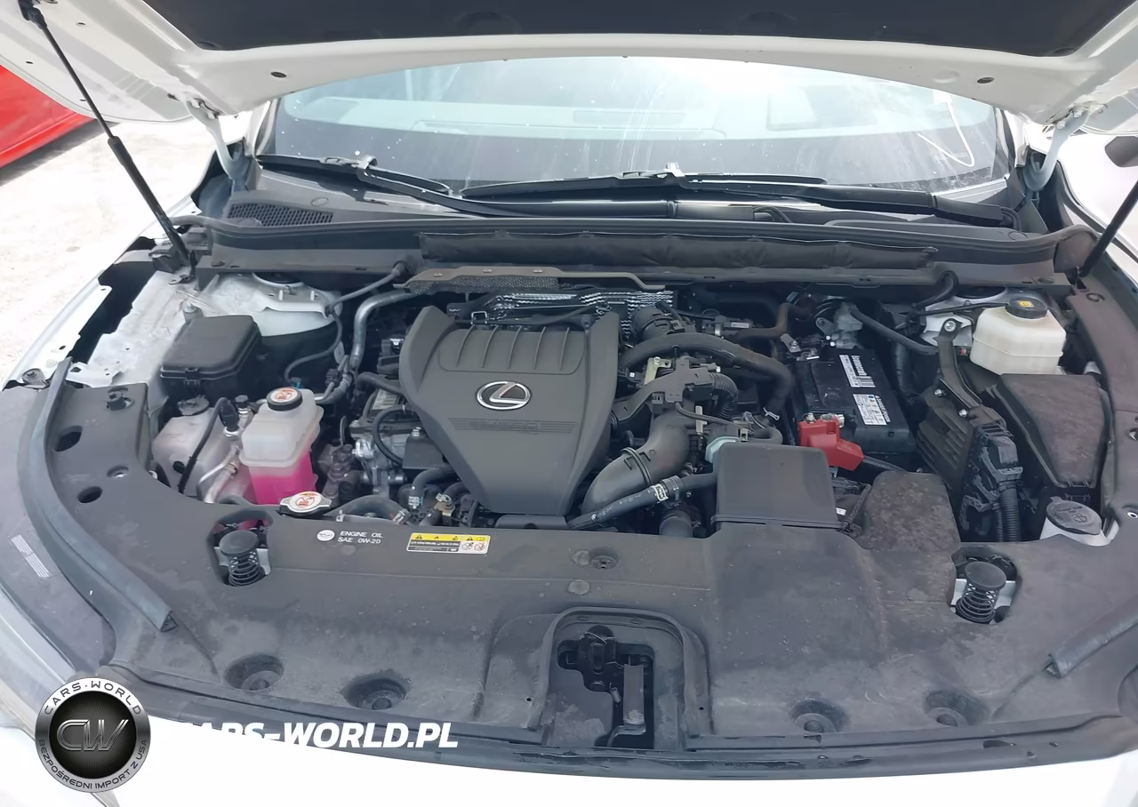 2024 Lexus Rx 350 F Sport Handling VIN:2T2BAMCA0RC040899 - 10