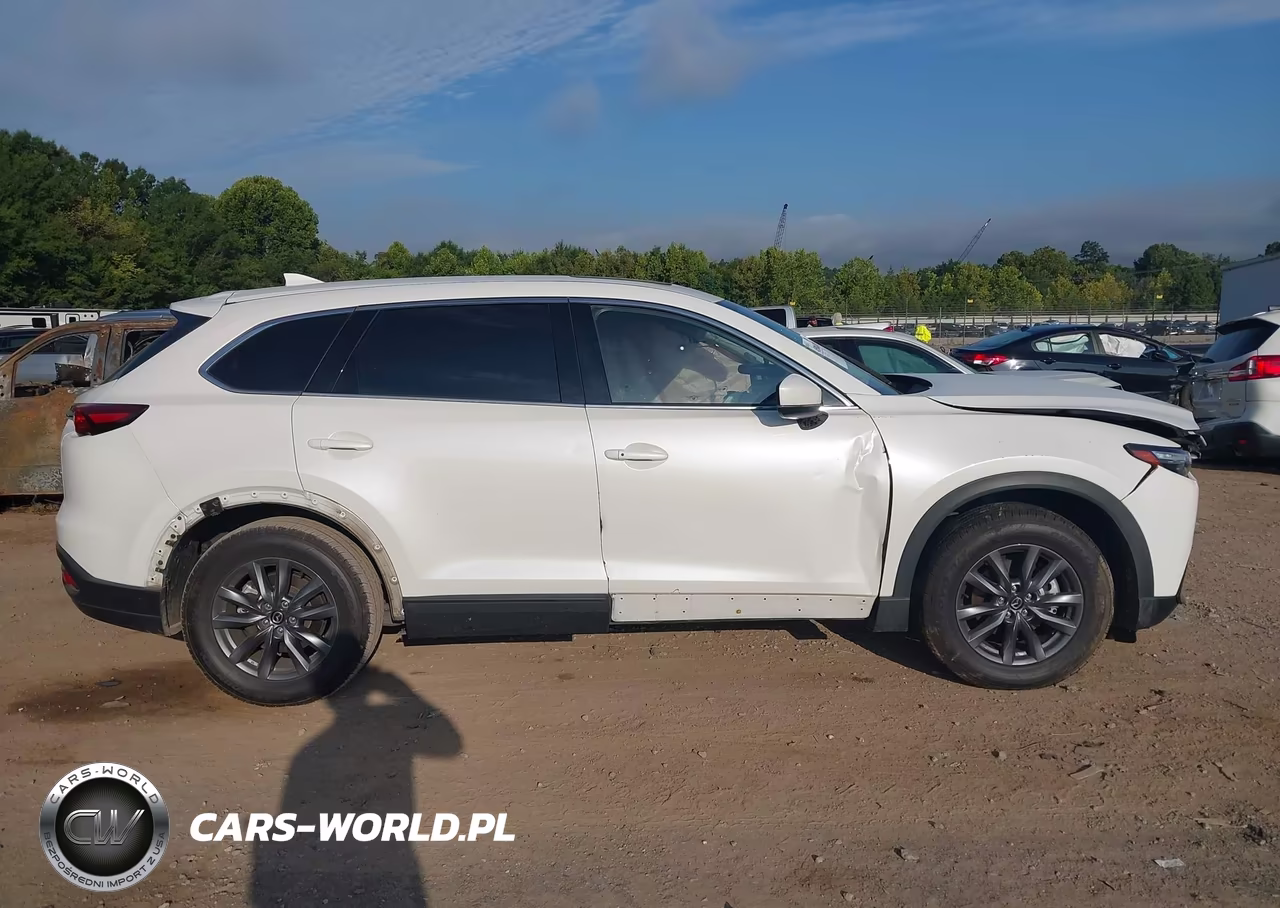 2020 Mazda Cx-9 Touring VIN:JM3TCBCY8L0401633 - 13