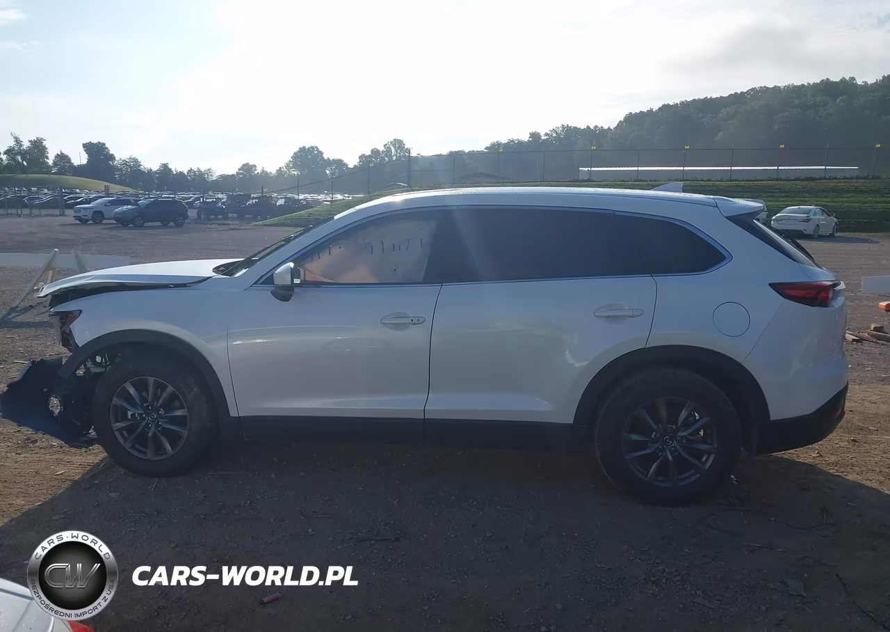 2020 Mazda Cx-9 Touring VIN:JM3TCBCY8L0401633 - 14