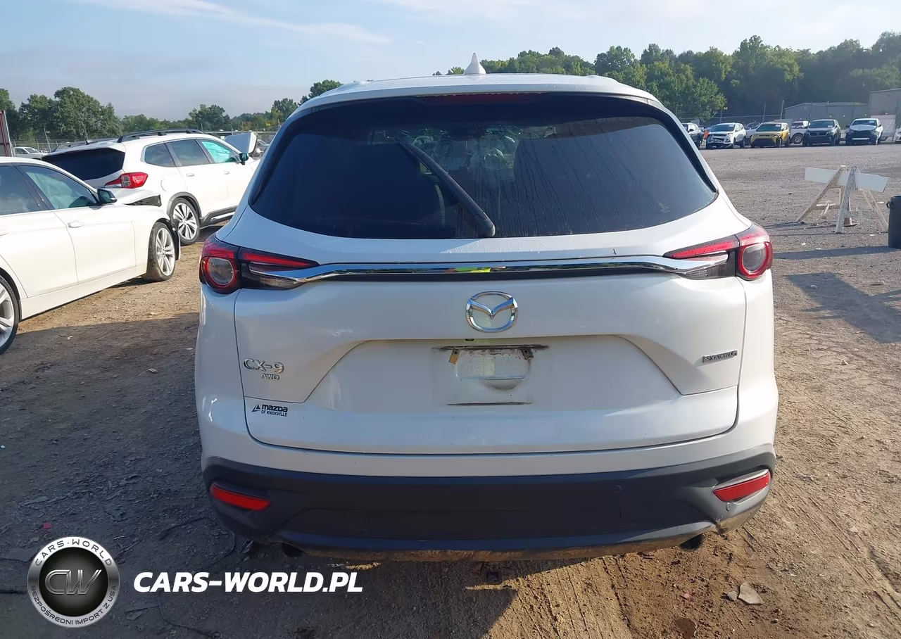2020 Mazda Cx-9 Touring VIN:JM3TCBCY8L0401633 - 16