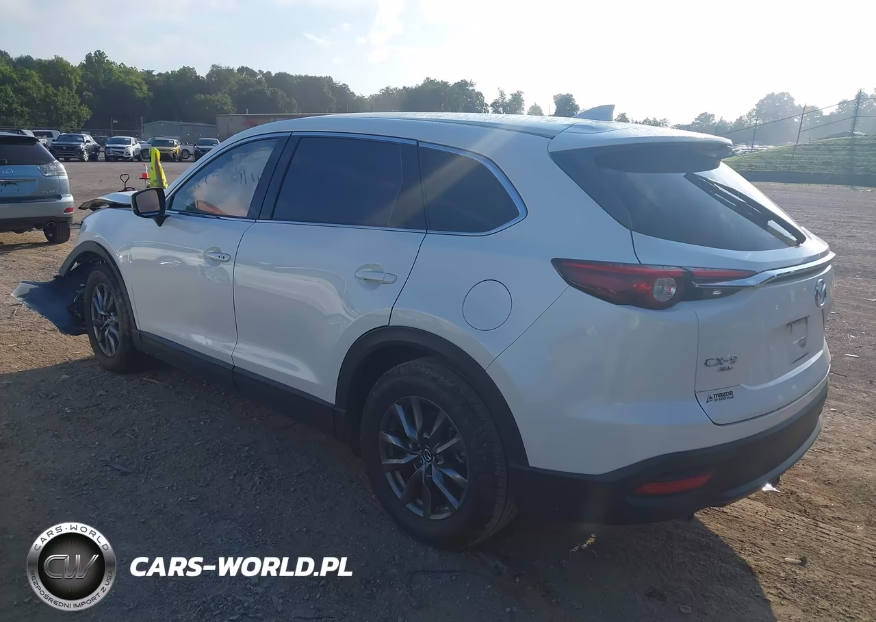 2020 Mazda Cx-9 Touring VIN:JM3TCBCY8L0401633 - 3