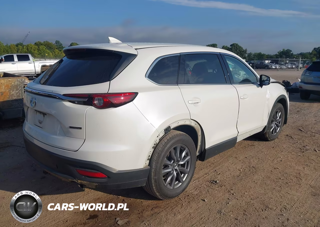 2020 Mazda Cx-9 Touring VIN:JM3TCBCY8L0401633 - 4