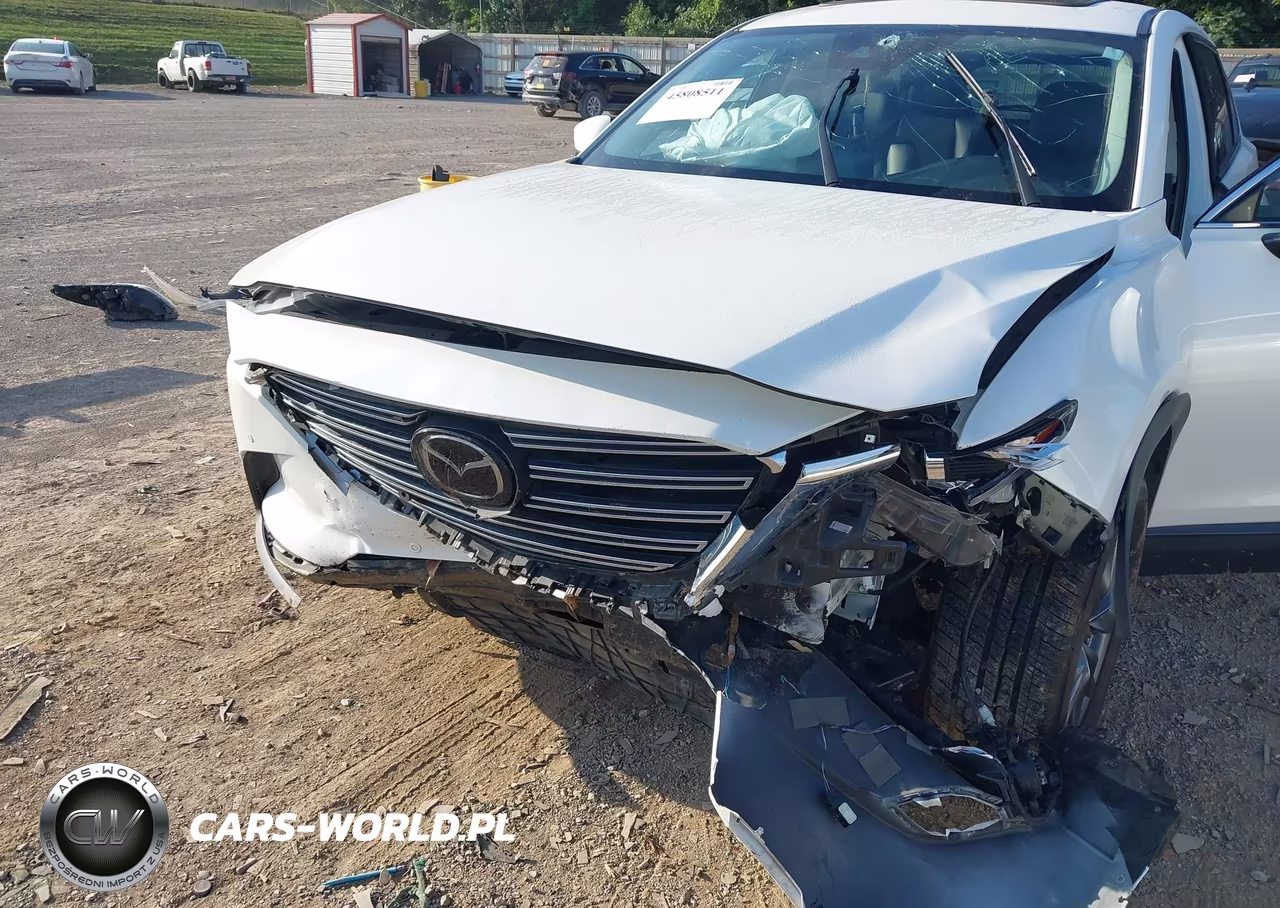 2020 Mazda Cx-9 Touring VIN:JM3TCBCY8L0401633 - 6