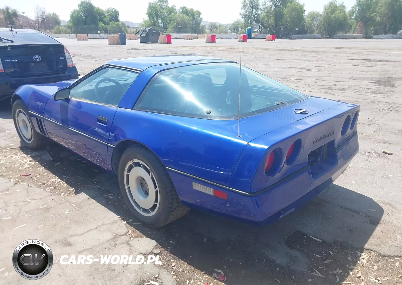 1984 Chevrolet Corvette VIN:1G1AY0789E5113702 - 3