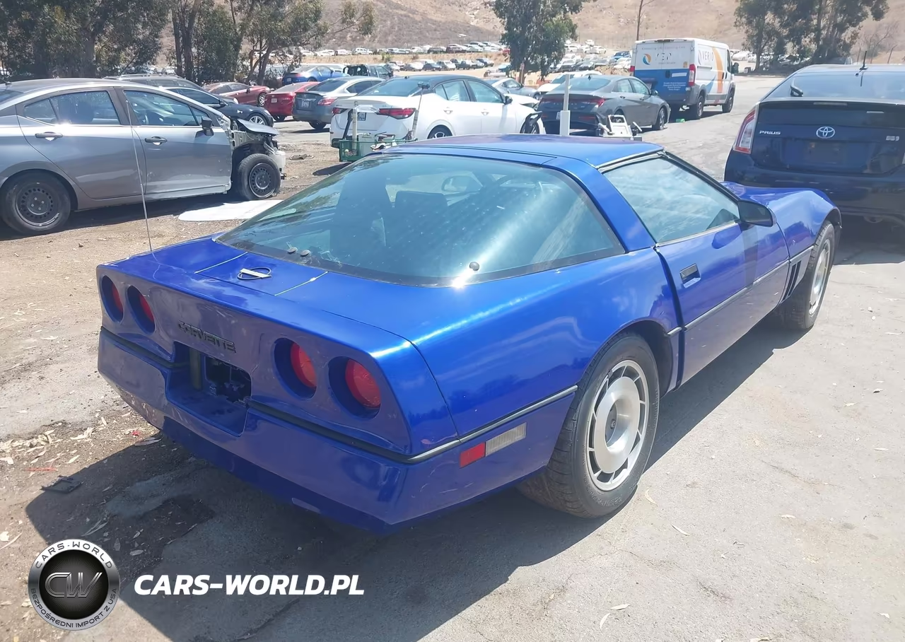 1984 Chevrolet Corvette VIN:1G1AY0789E5113702 - 4