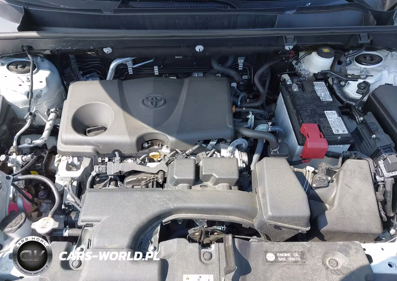 2025 Toyota Rav4 Xle VIN:2T3P1RFV2SW610435 - 10