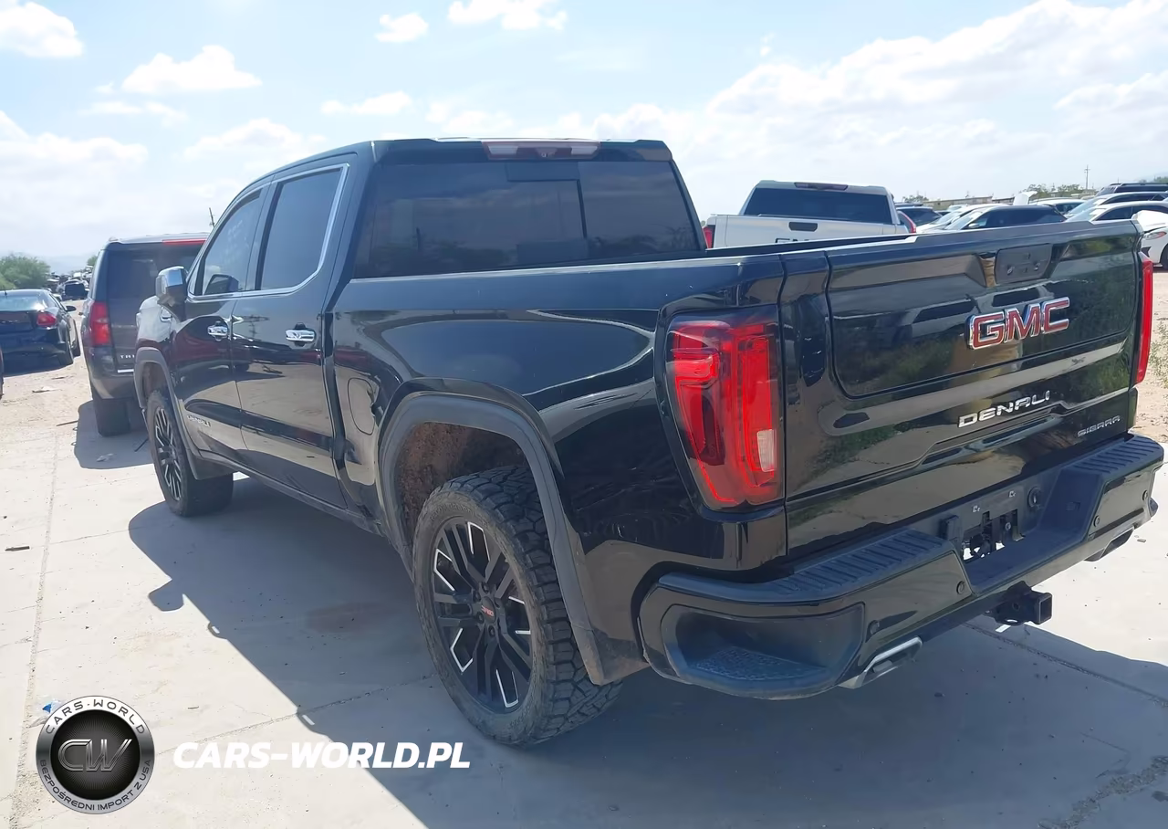 2020 GMC Sierra 1500 4Wd Short Box Denali VIN:3GTU9FEL1LG264566 - 3