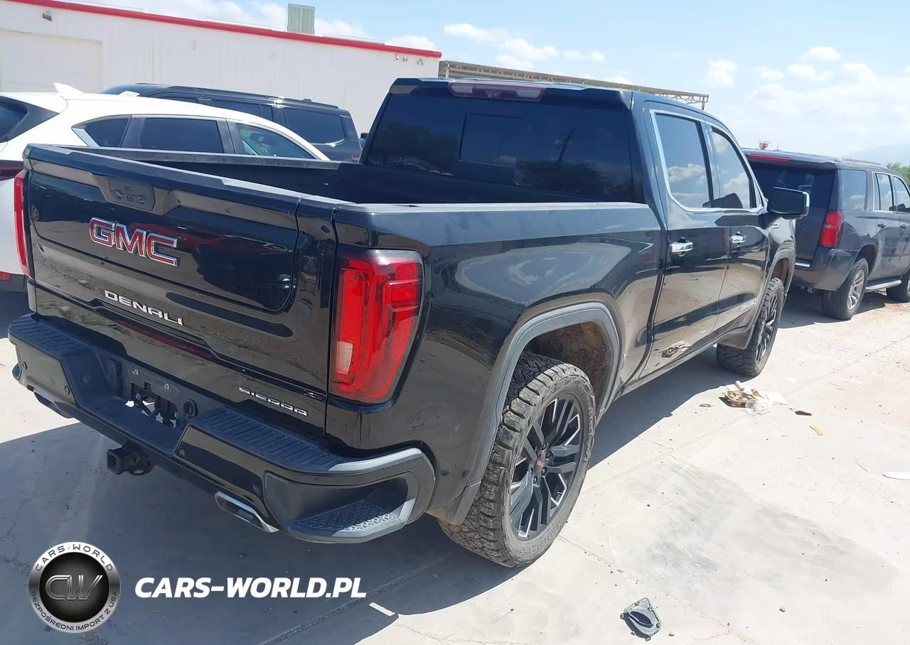 2020 GMC Sierra 1500 4Wd Short Box Denali VIN:3GTU9FEL1LG264566 - 4